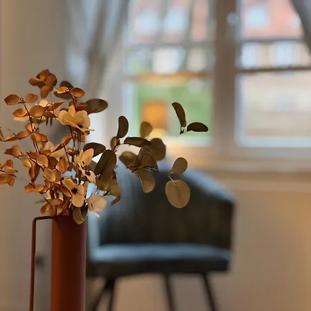 Am Schleswiger Dom Luett Huus * Schleswig